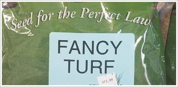 Fancy Turf Baf